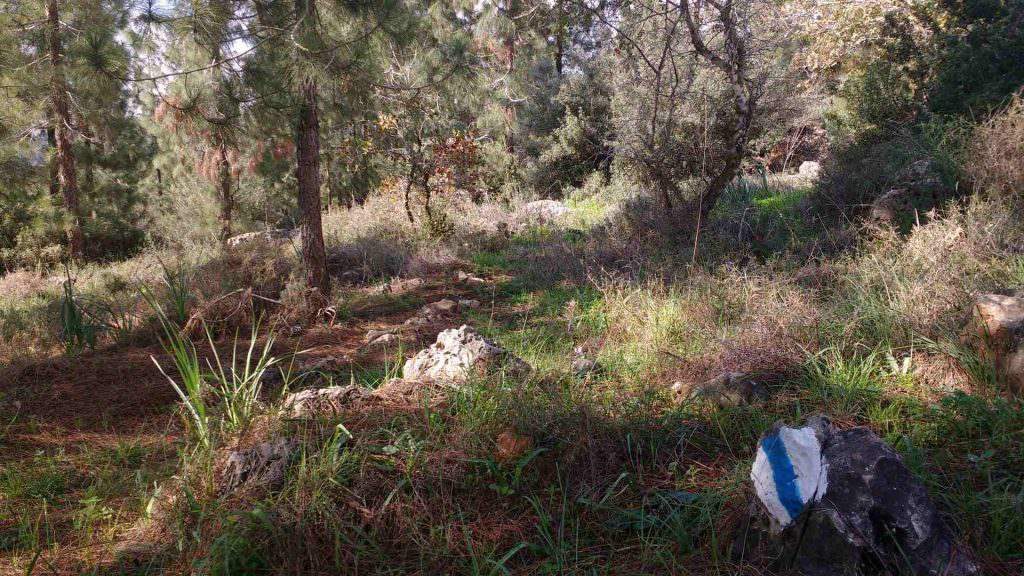 אשבל-יובלים-שורשים-1-1024x576 (1)