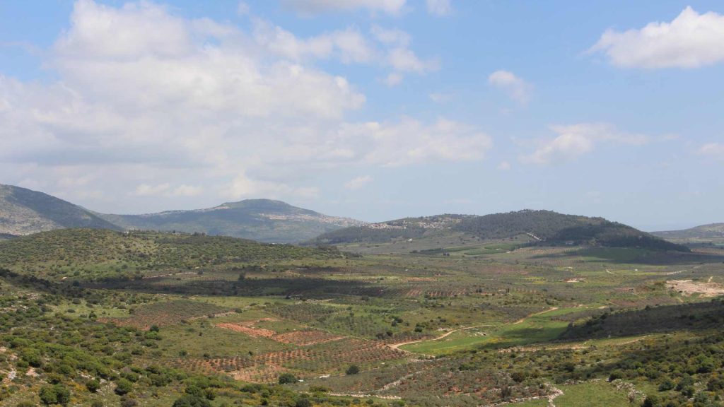 כמון אשבל (1)